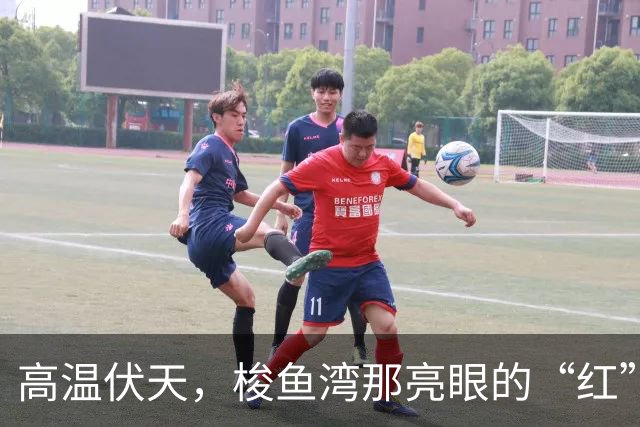 高温伏天，梭鱼湾那亮眼的“红”